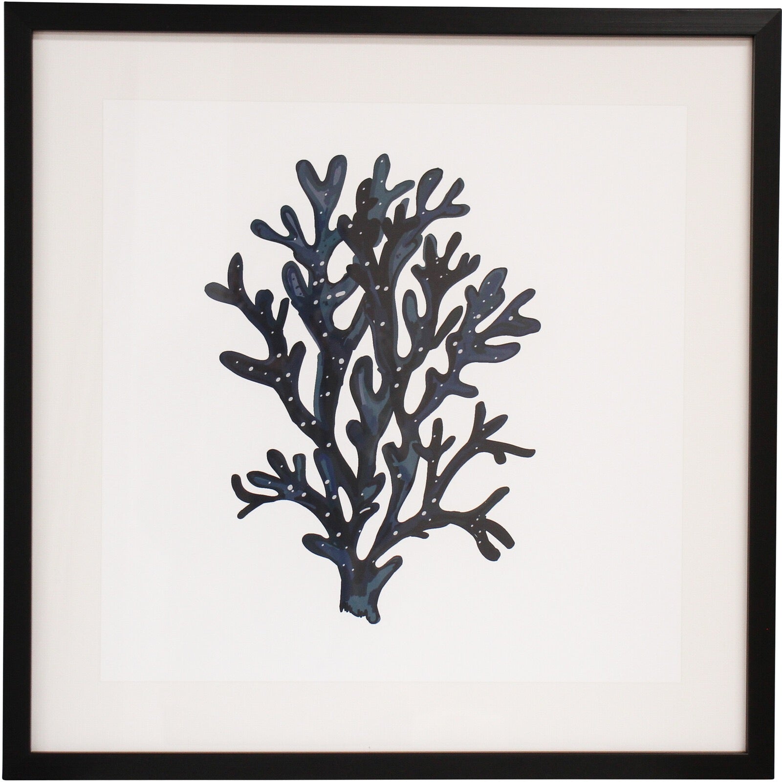 framed print sea fan