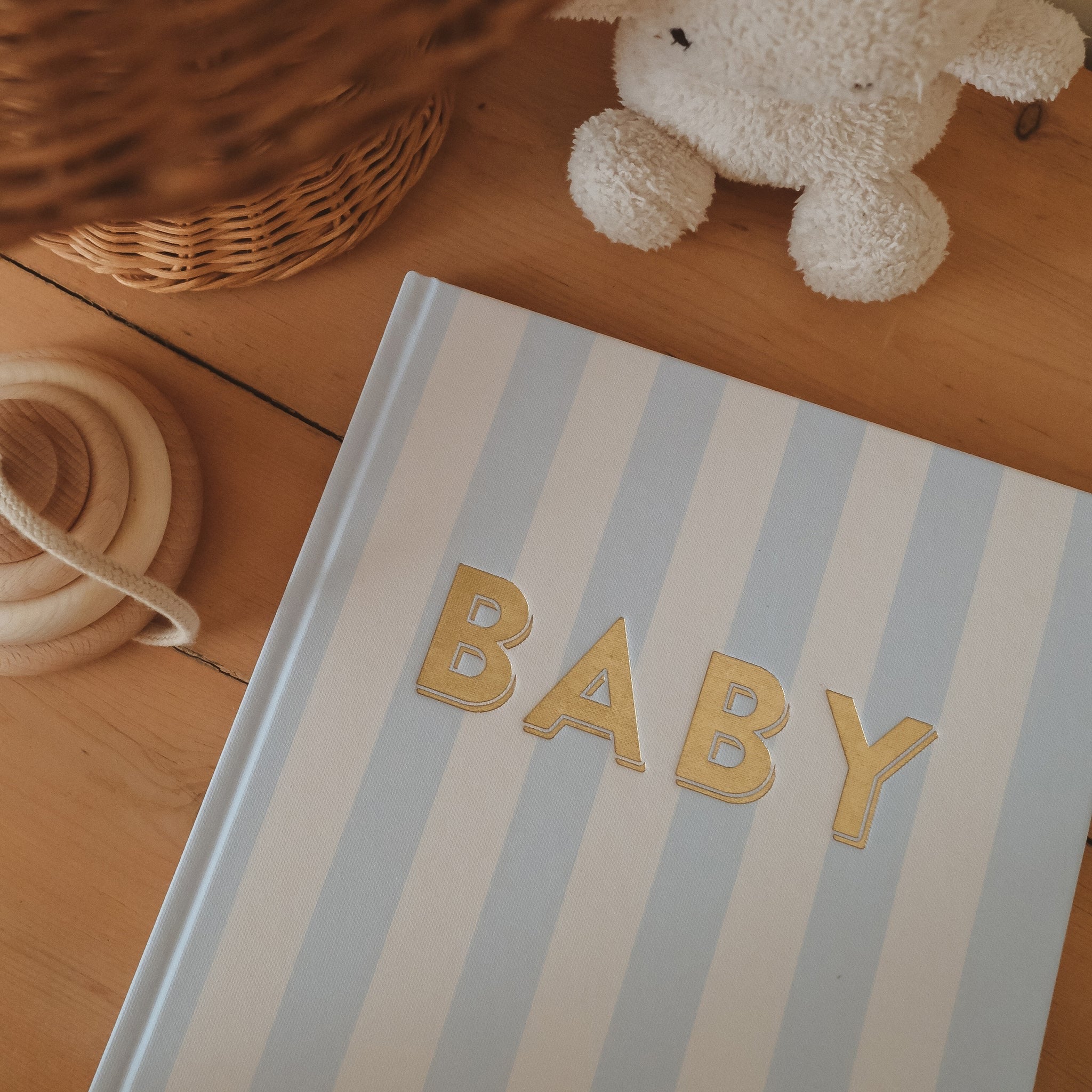 Baby Book - Cloud Stripe