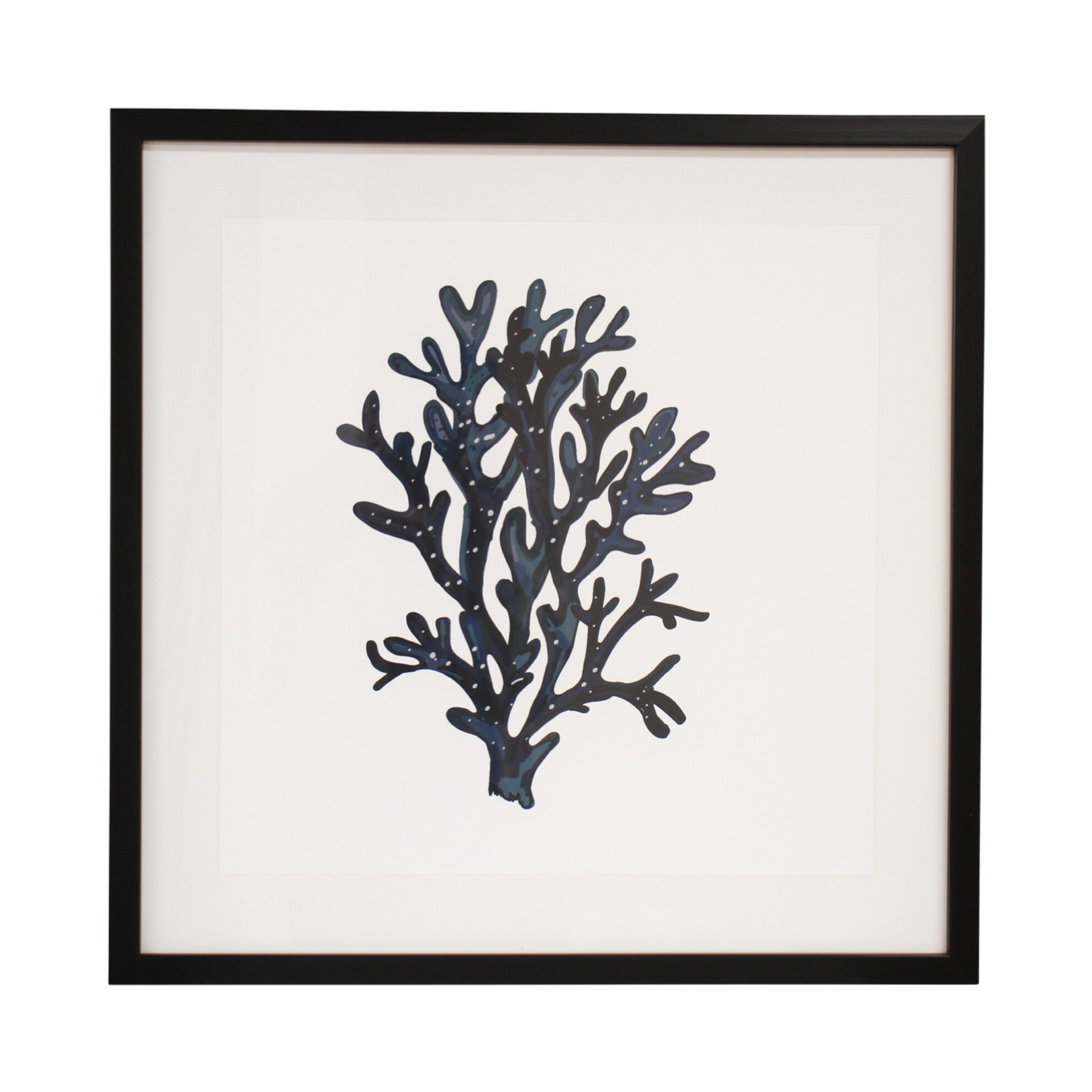 framed print sea fan