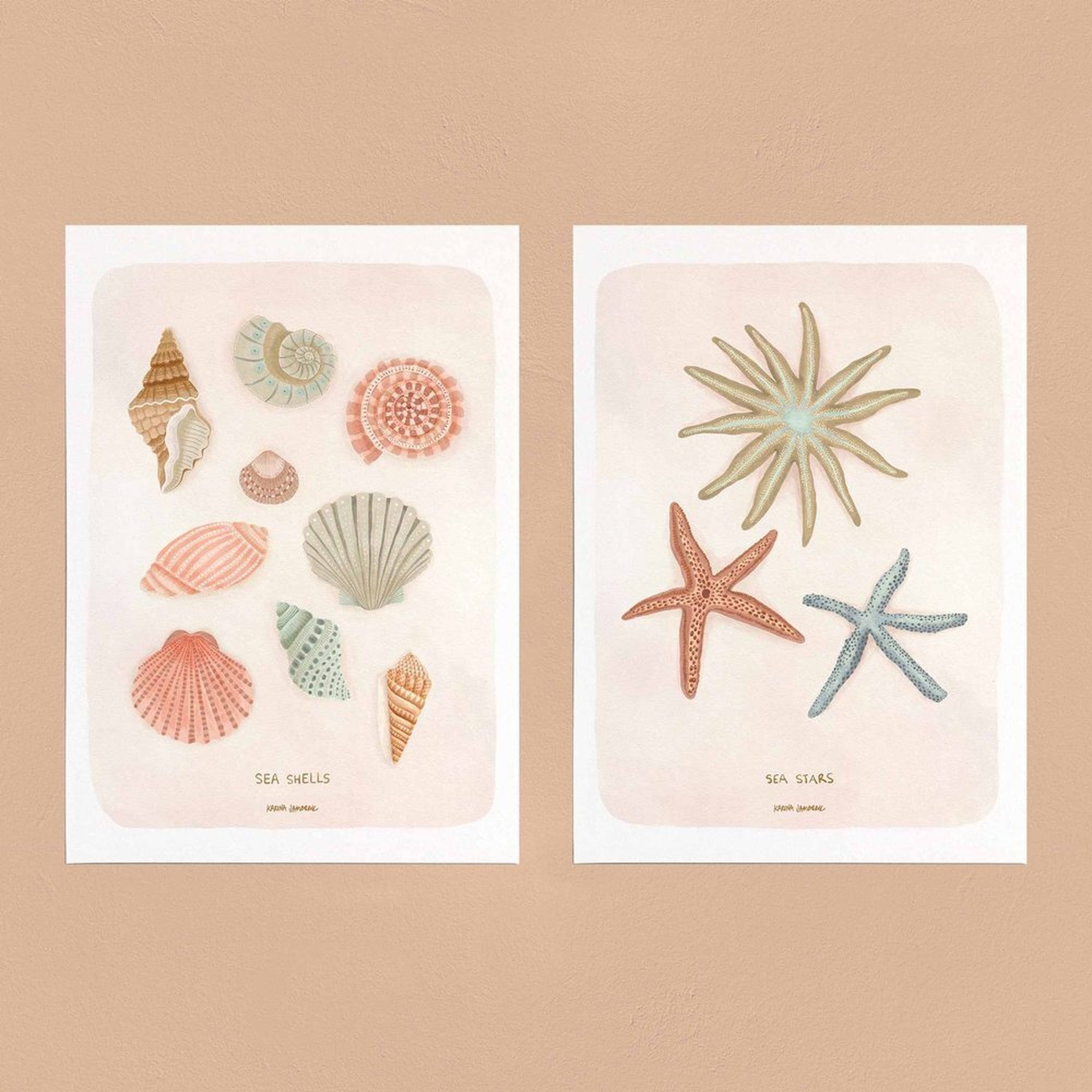 【karina jambrak art】sea shells
