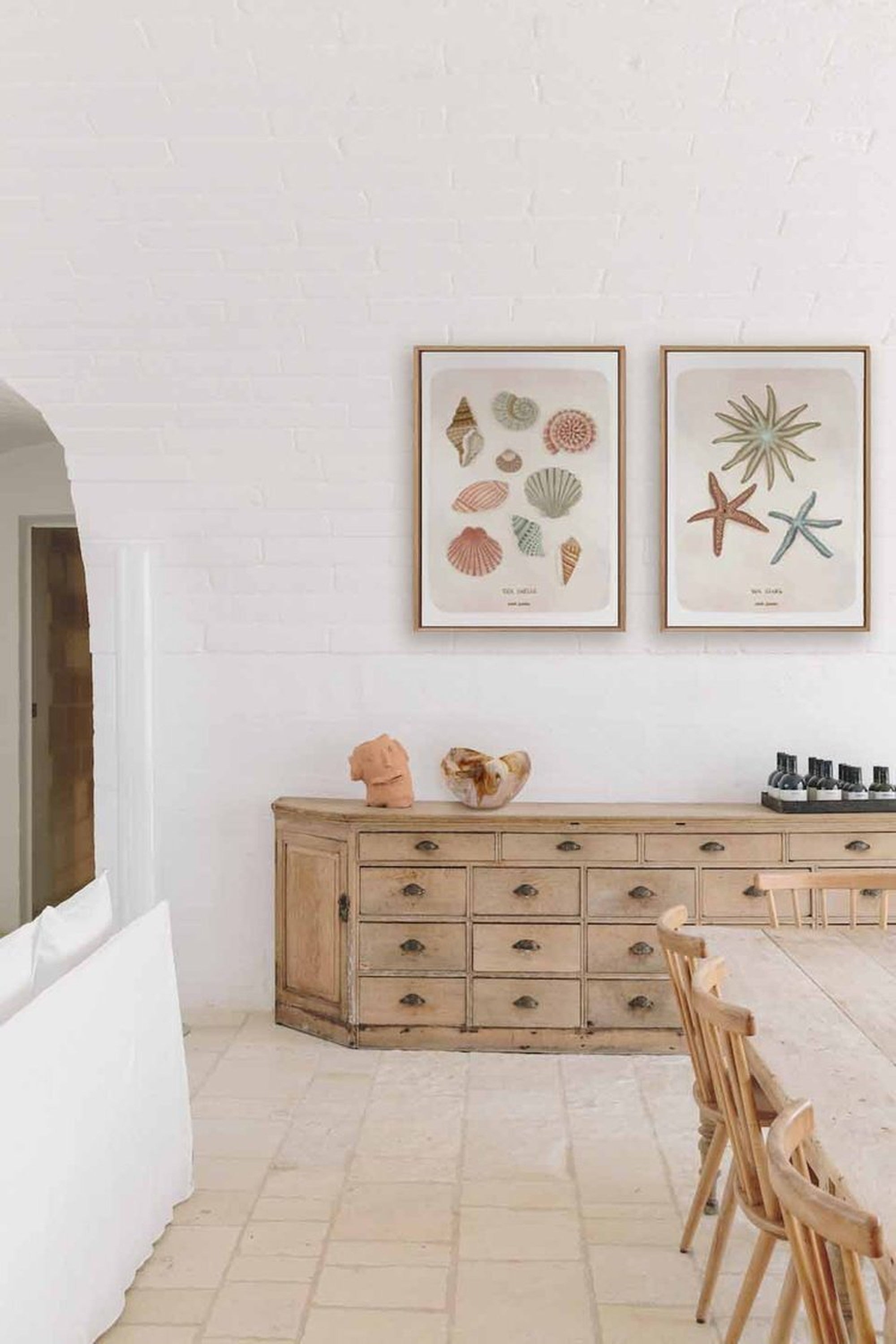 【karina jambrak art】sea shells