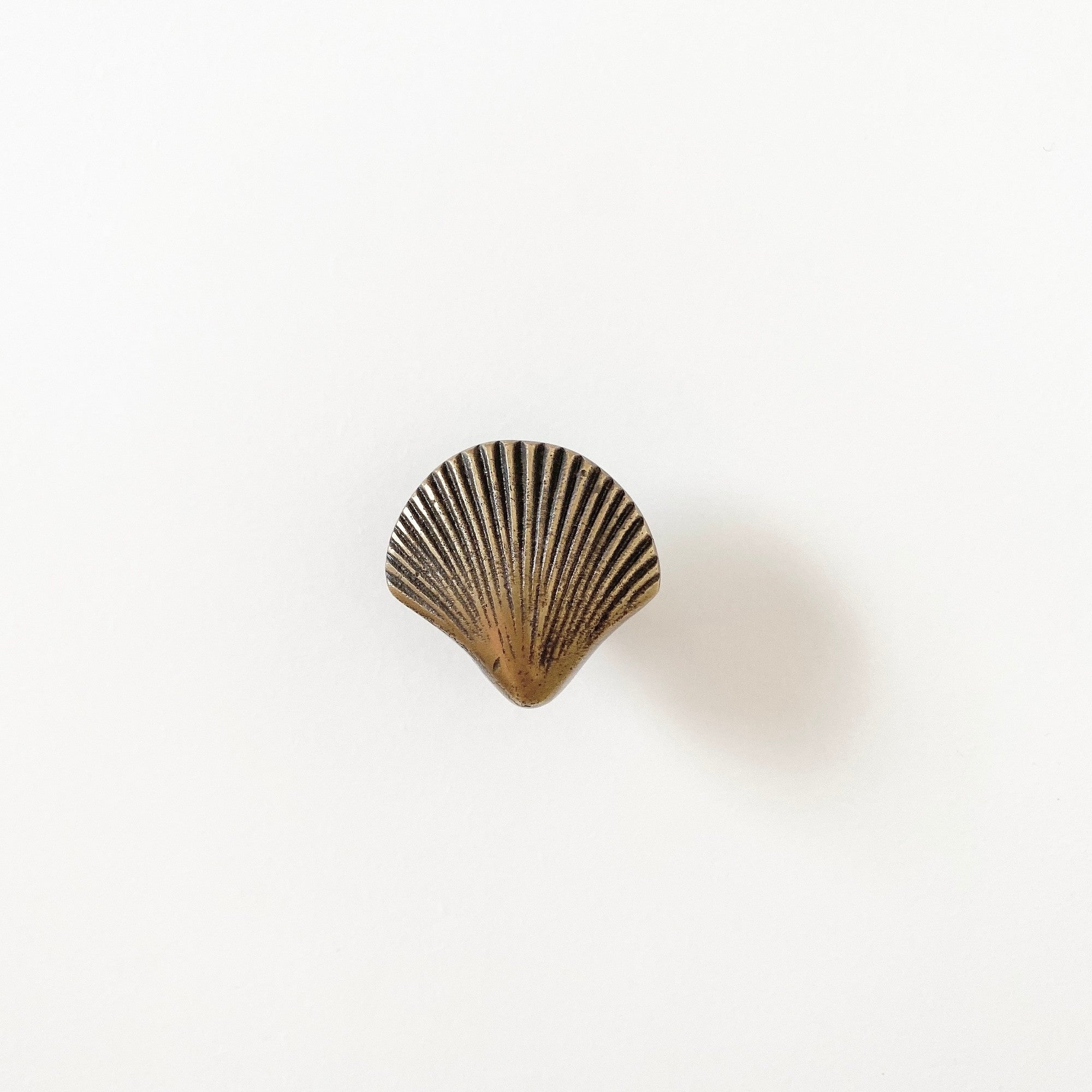 shell brass knob