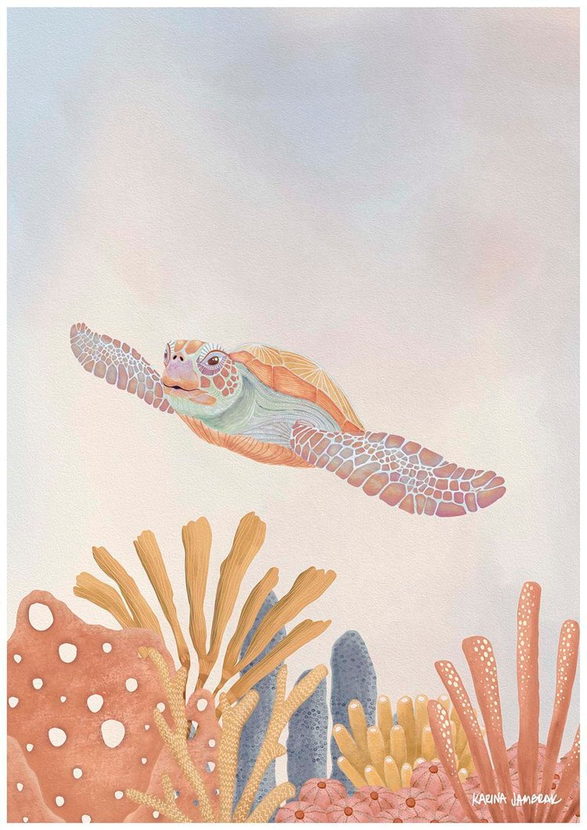 【karina jambrak art】reef glider