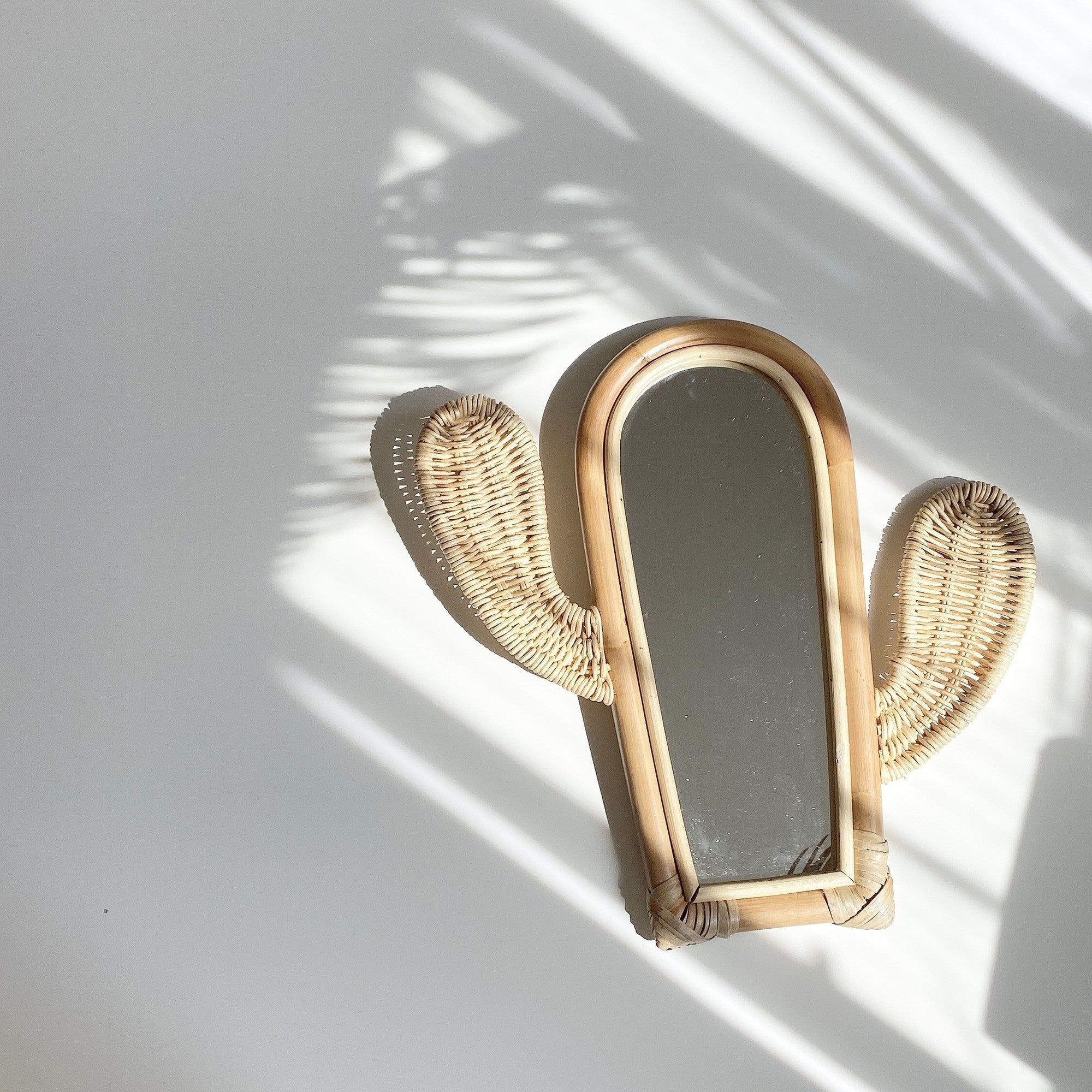 cactus rattan mirror