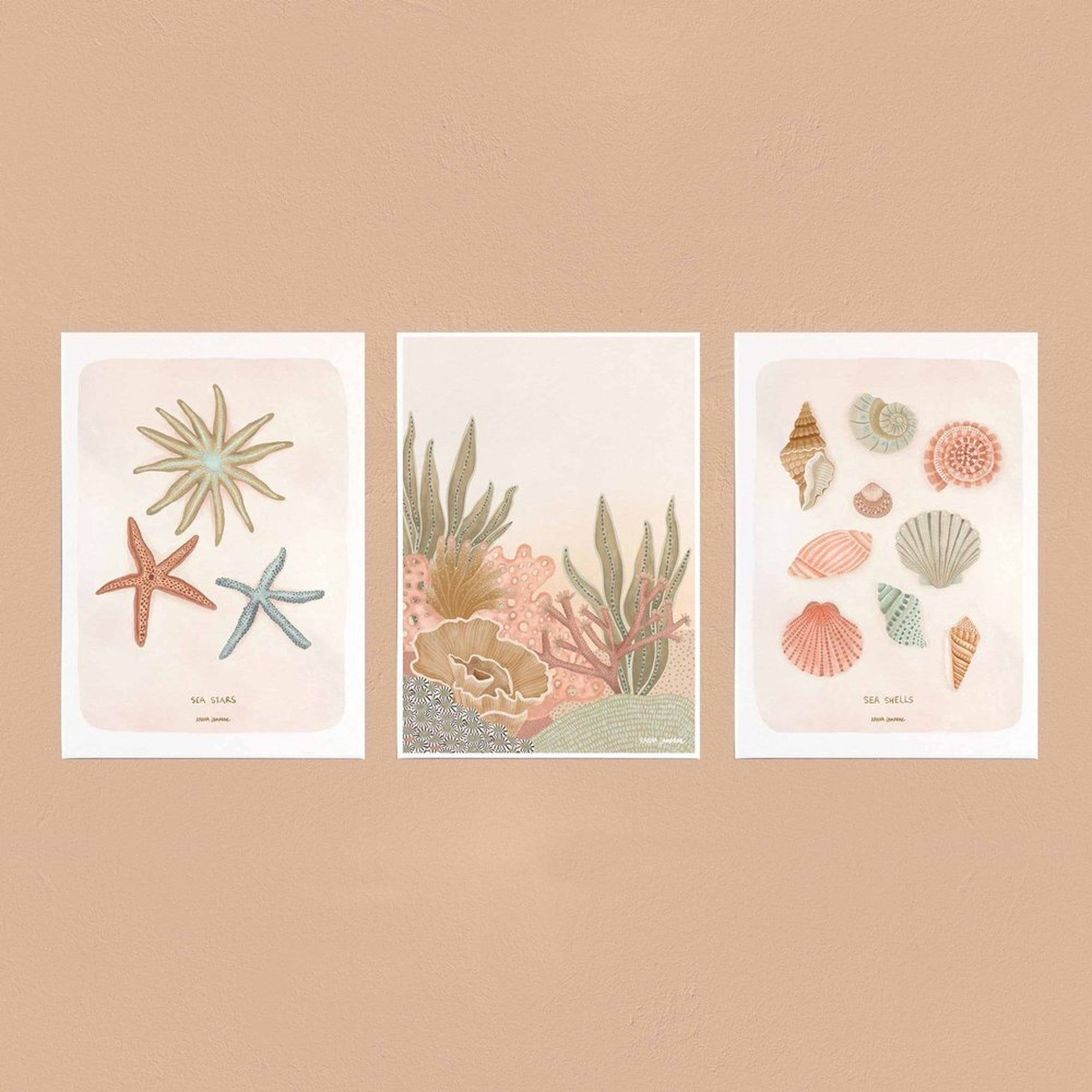 【karina jambrak art】sea shells