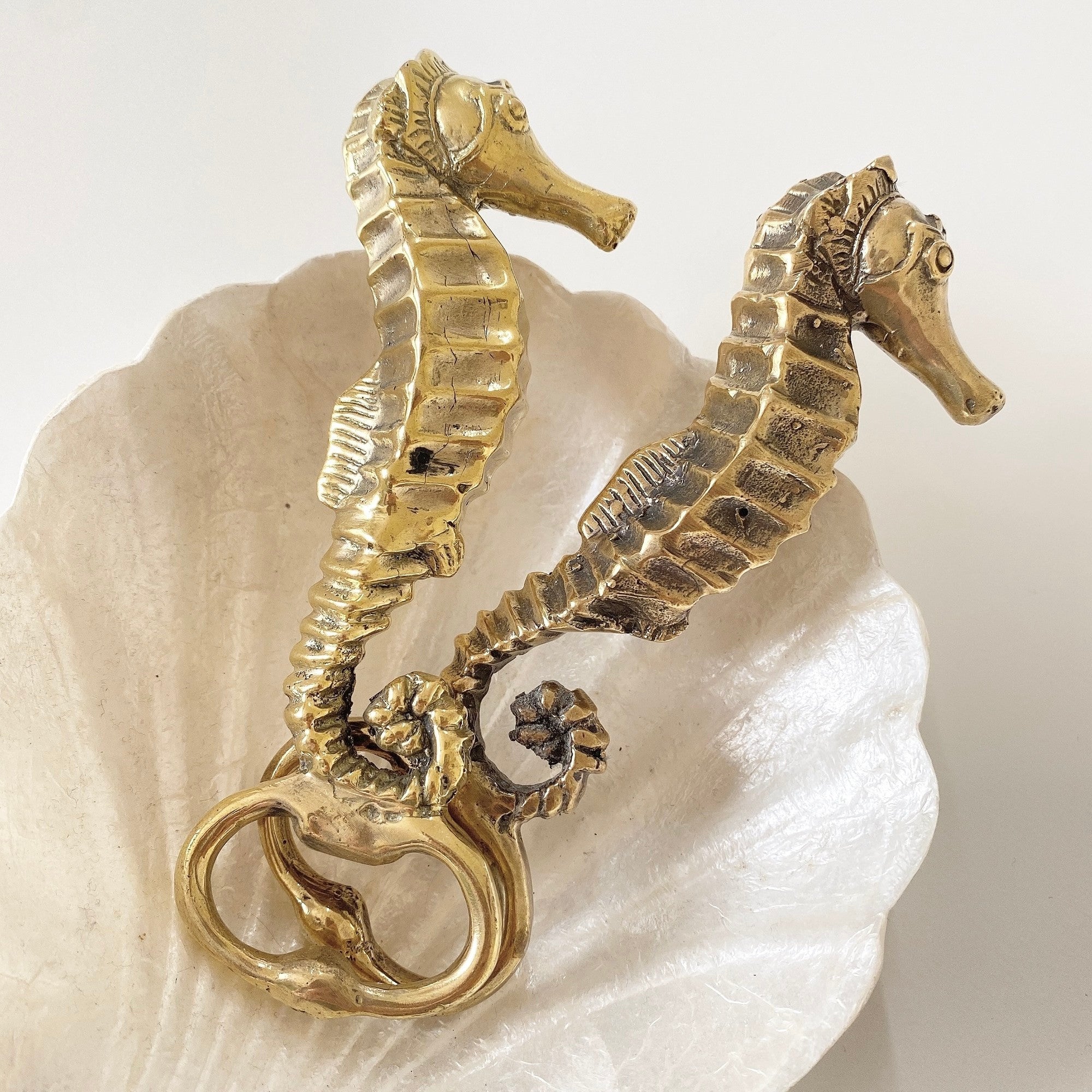 seahorse bottle opener