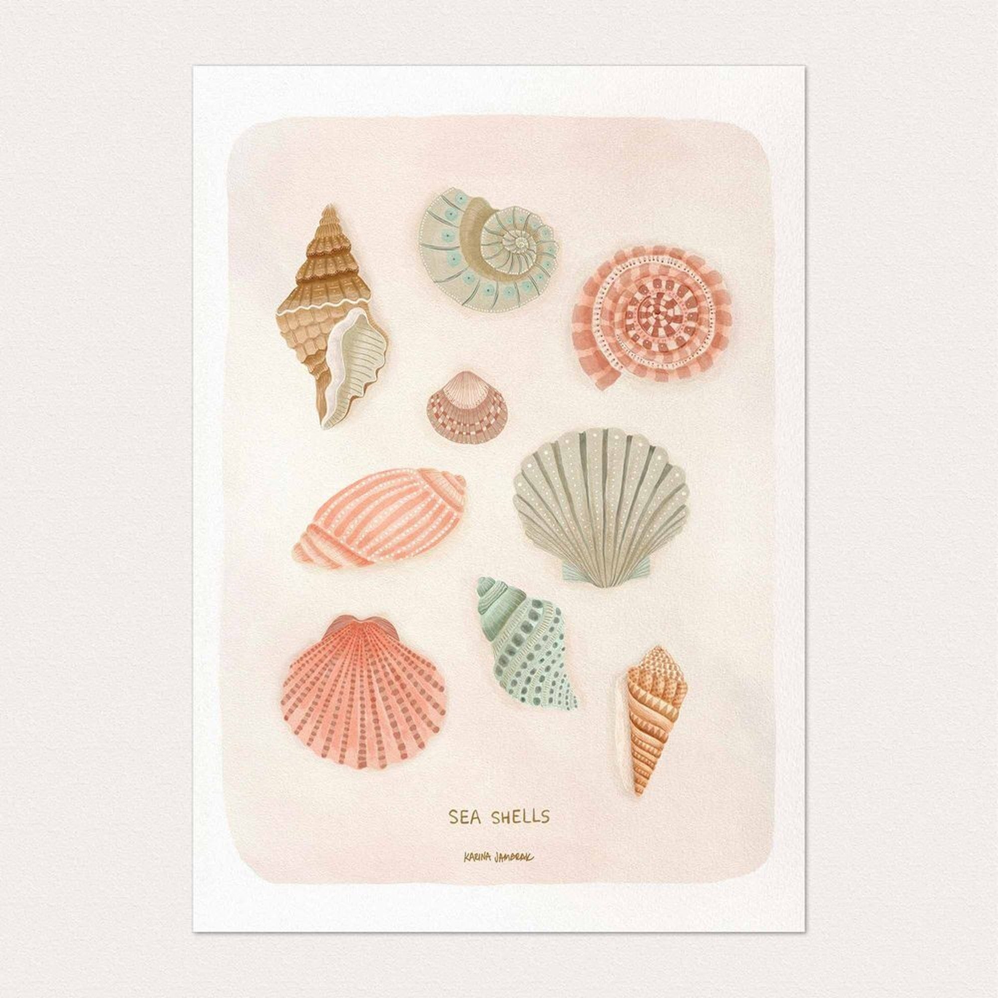 【karina jambrak art】sea shells