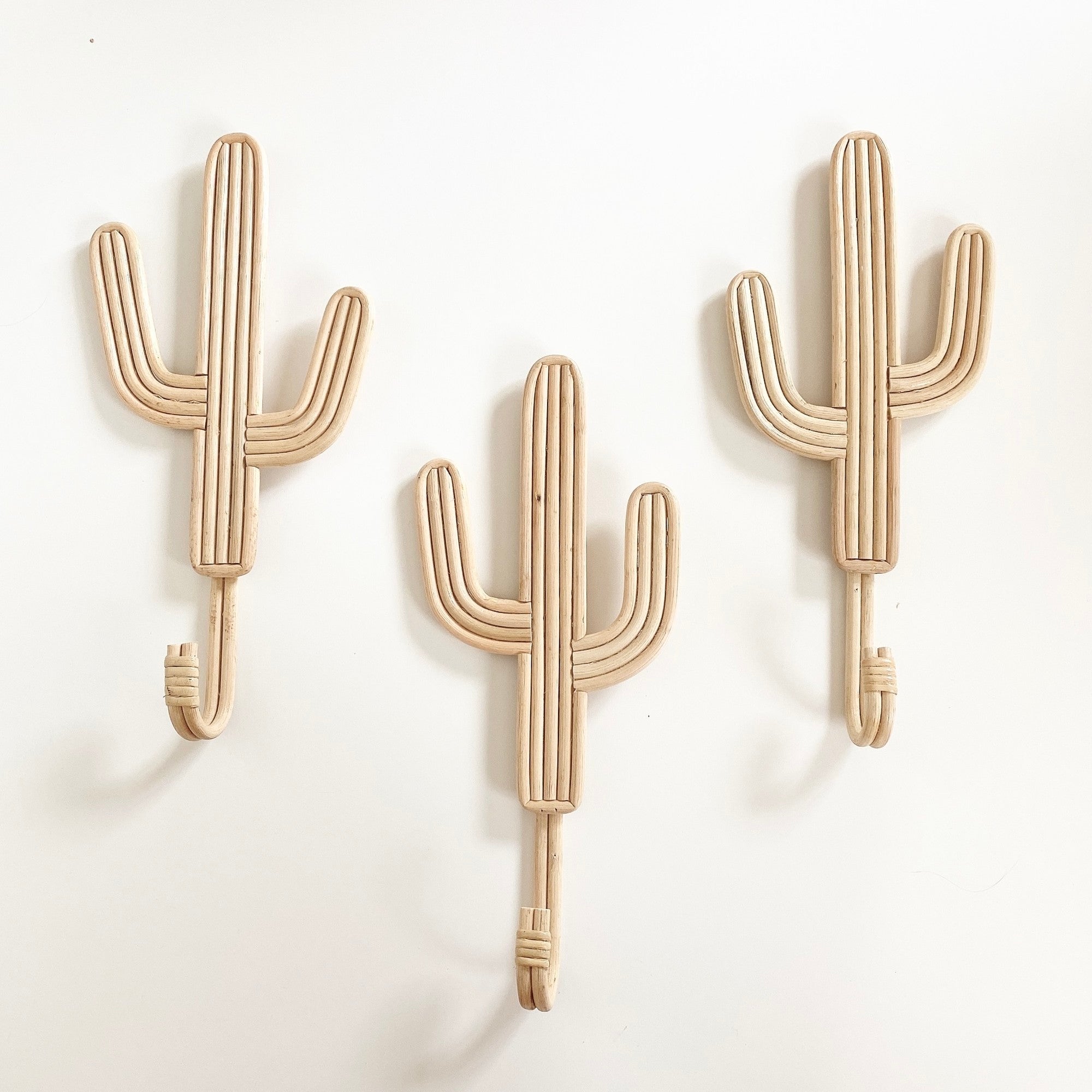 cactus rattan hook