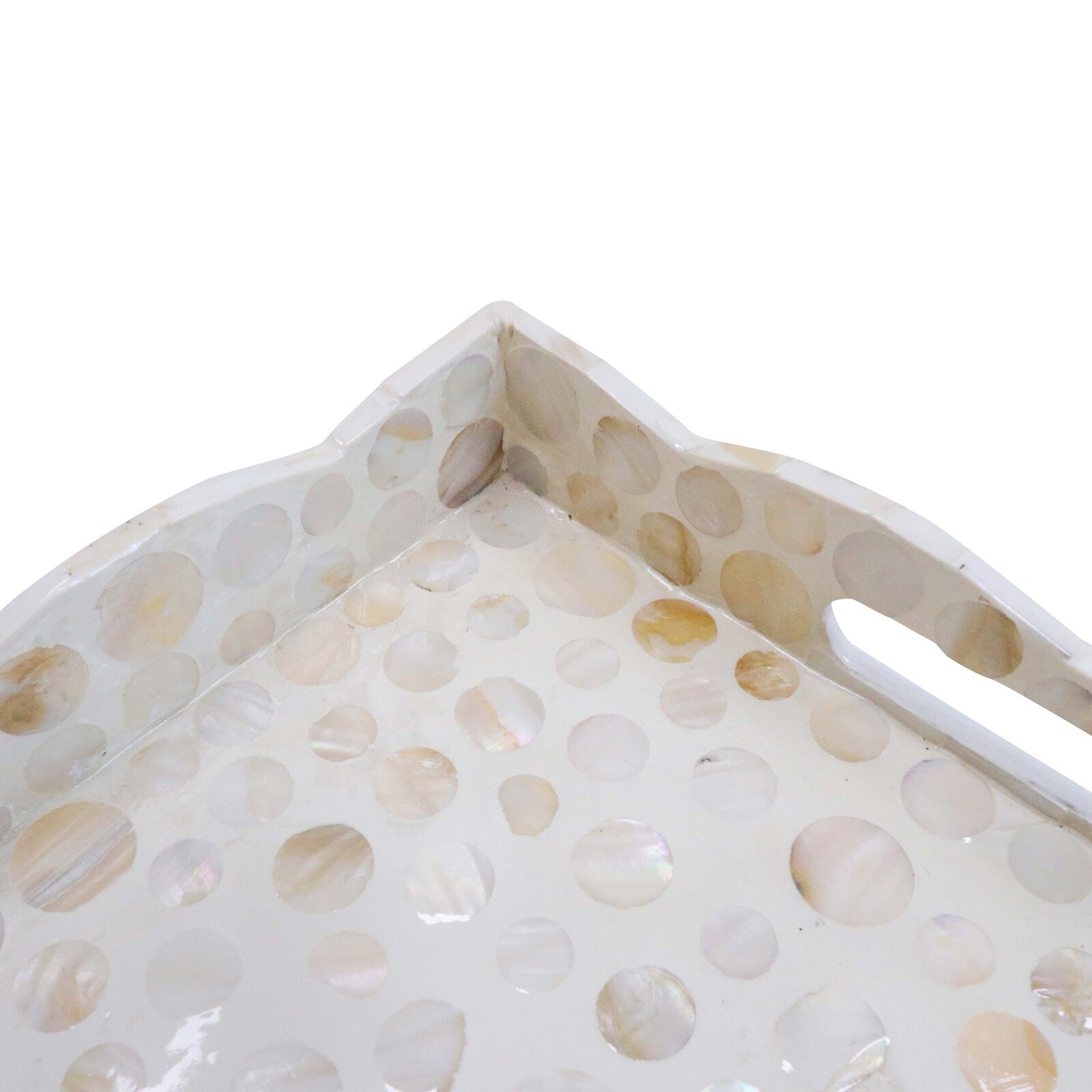 scallop mop tray