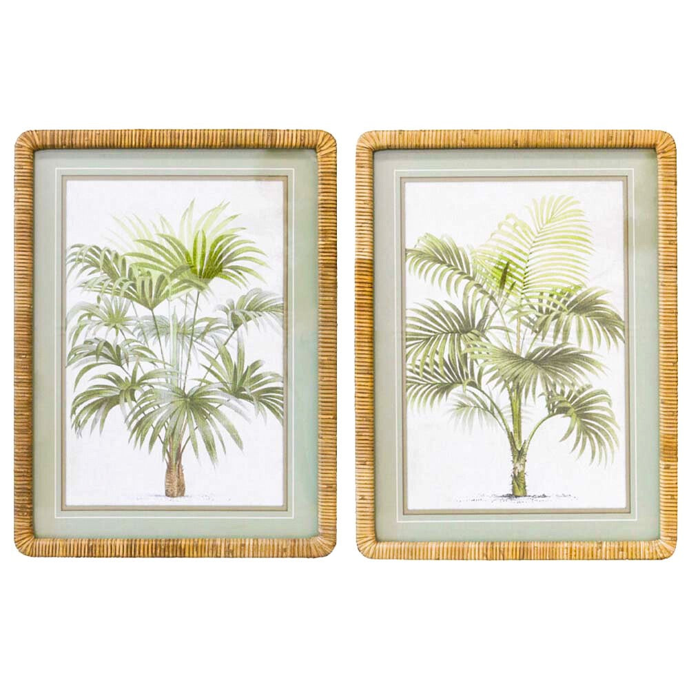 palms vintage framed print