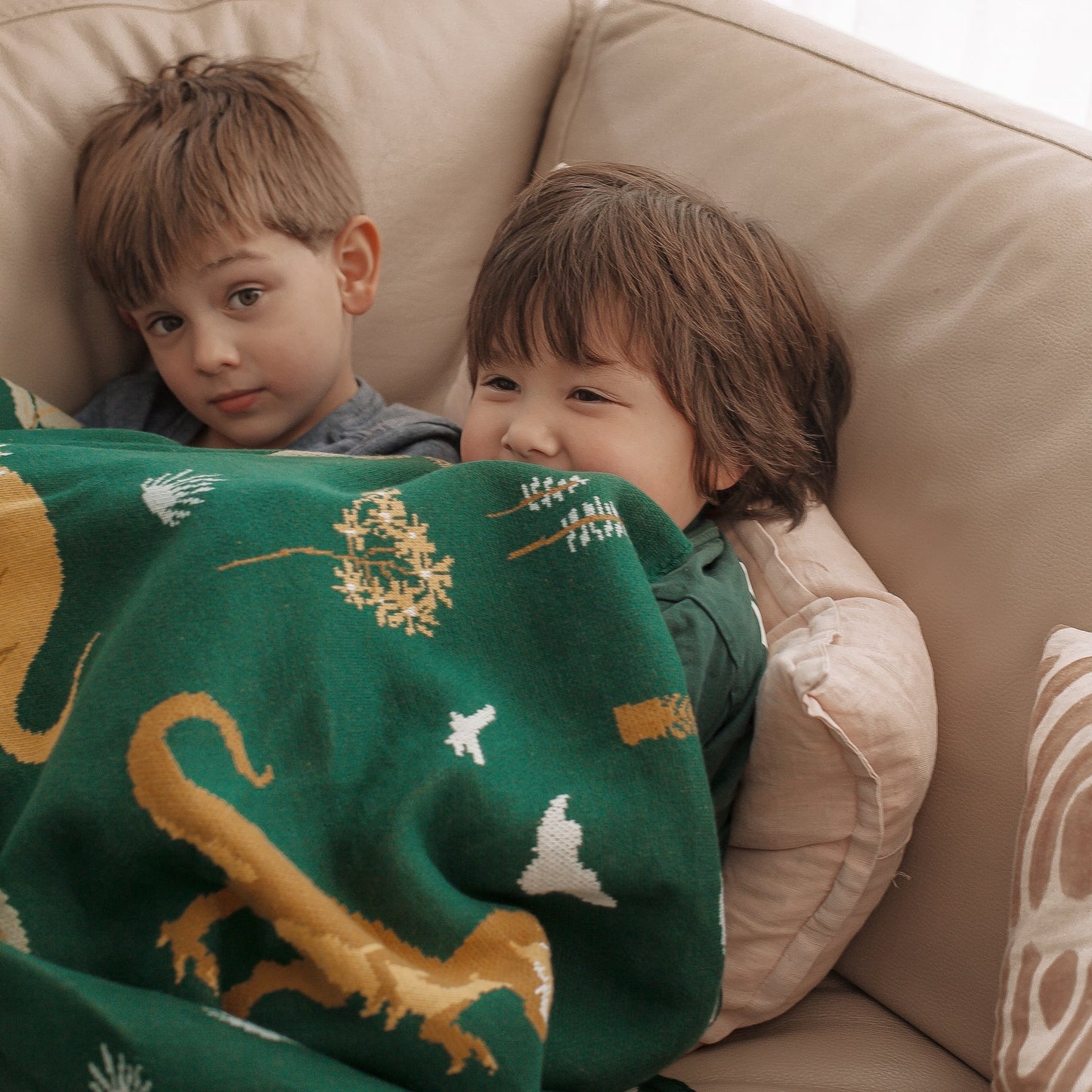 dinos throw blanket