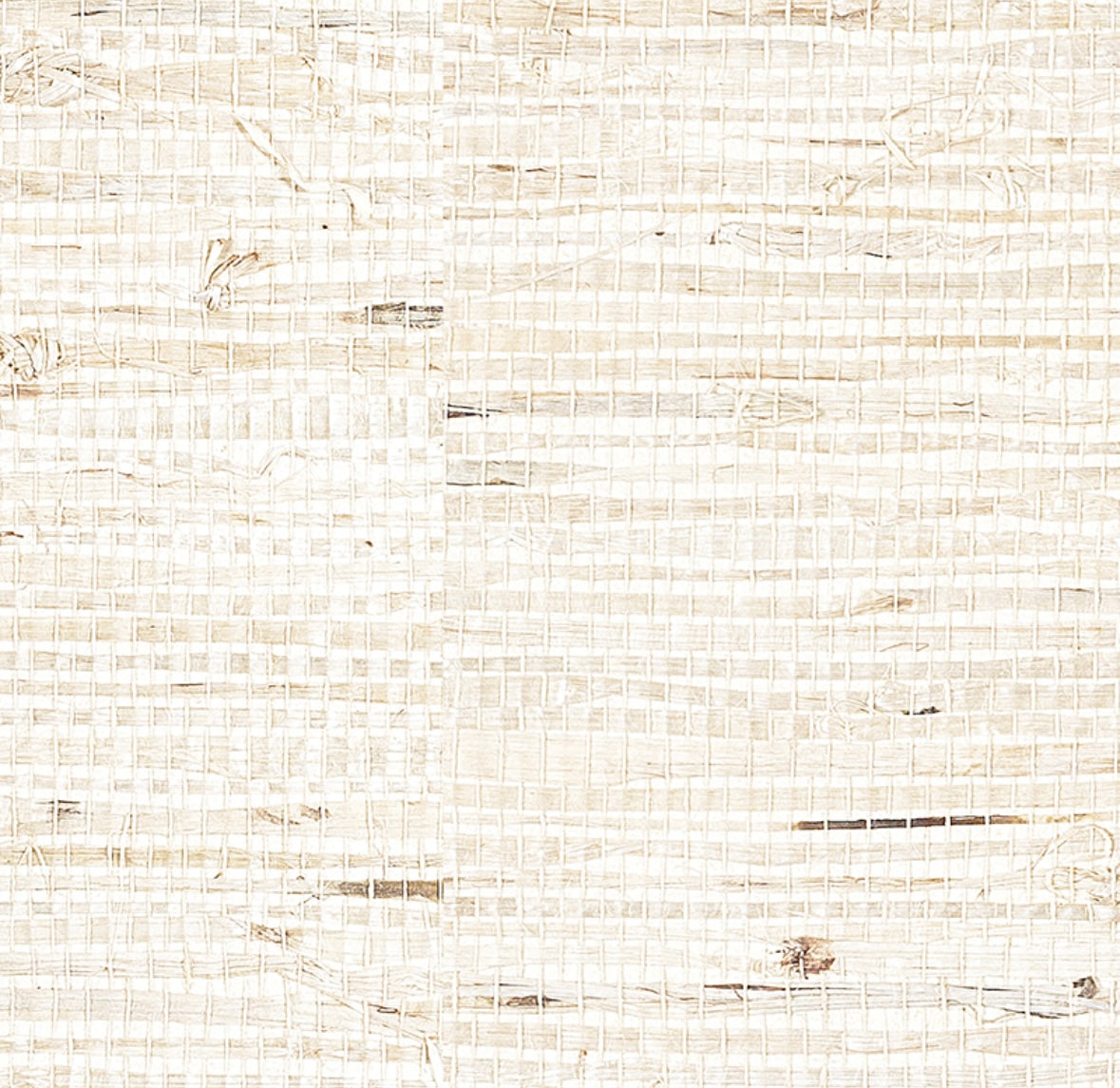 seagrass removable wallpaper