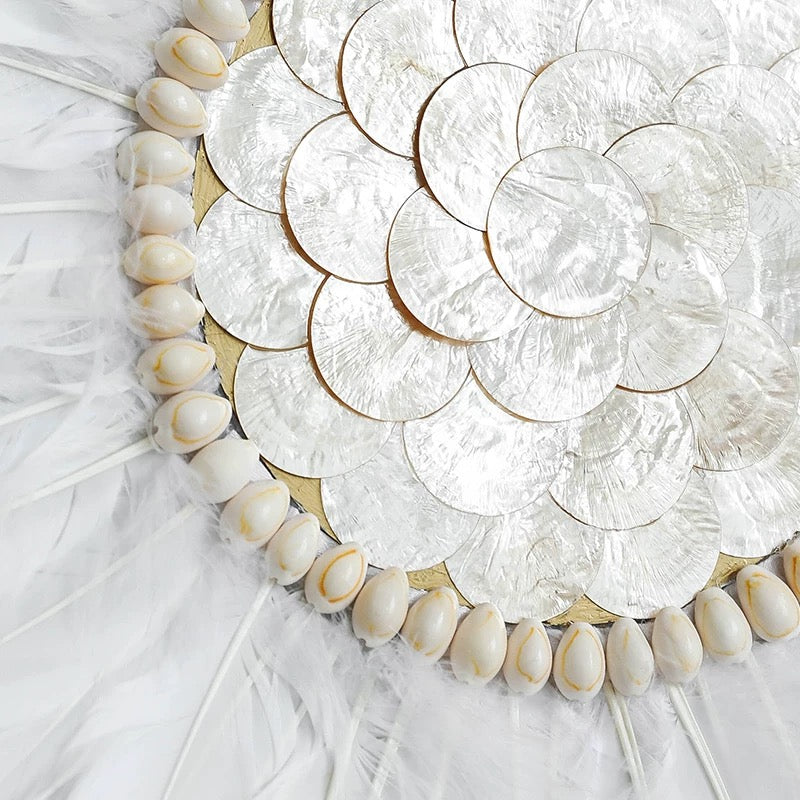 shell feather wall decor