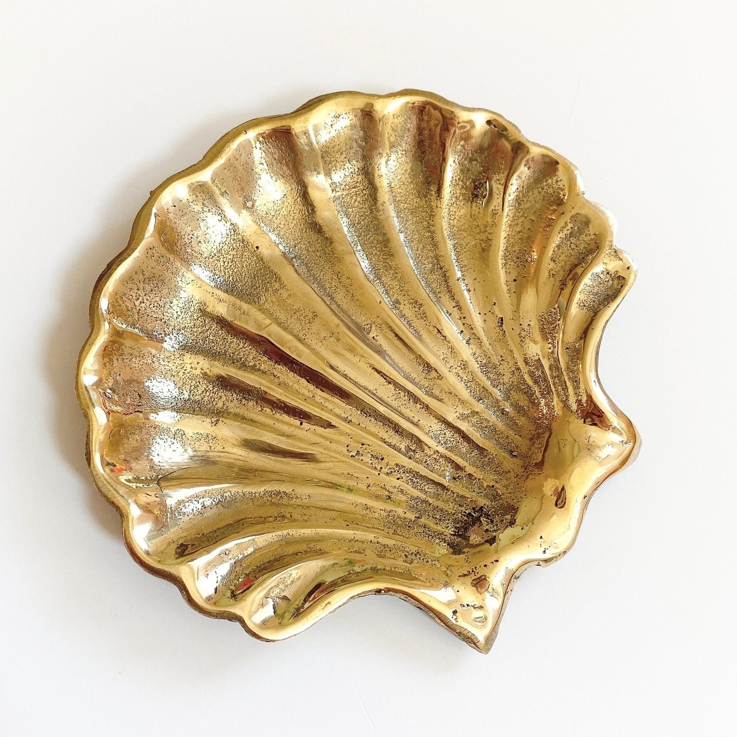 shell design tray