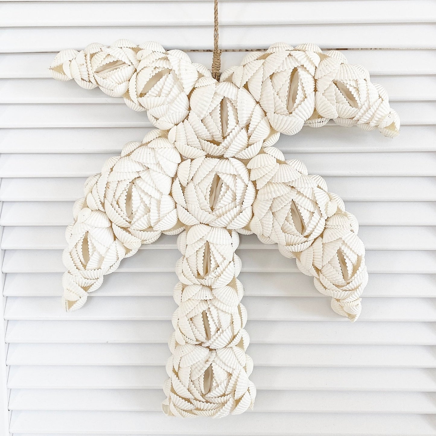 palm rose shell ornament