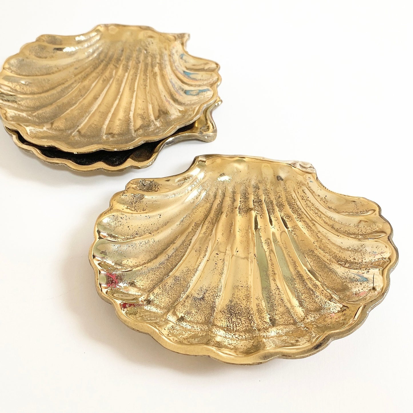 shell design tray