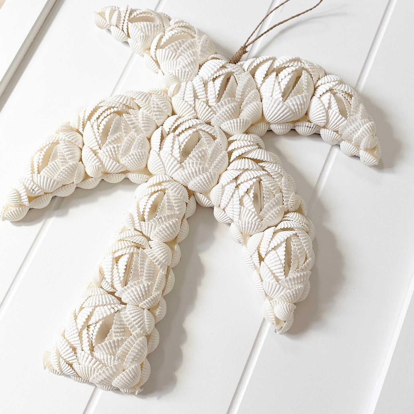 palm rose shell ornament