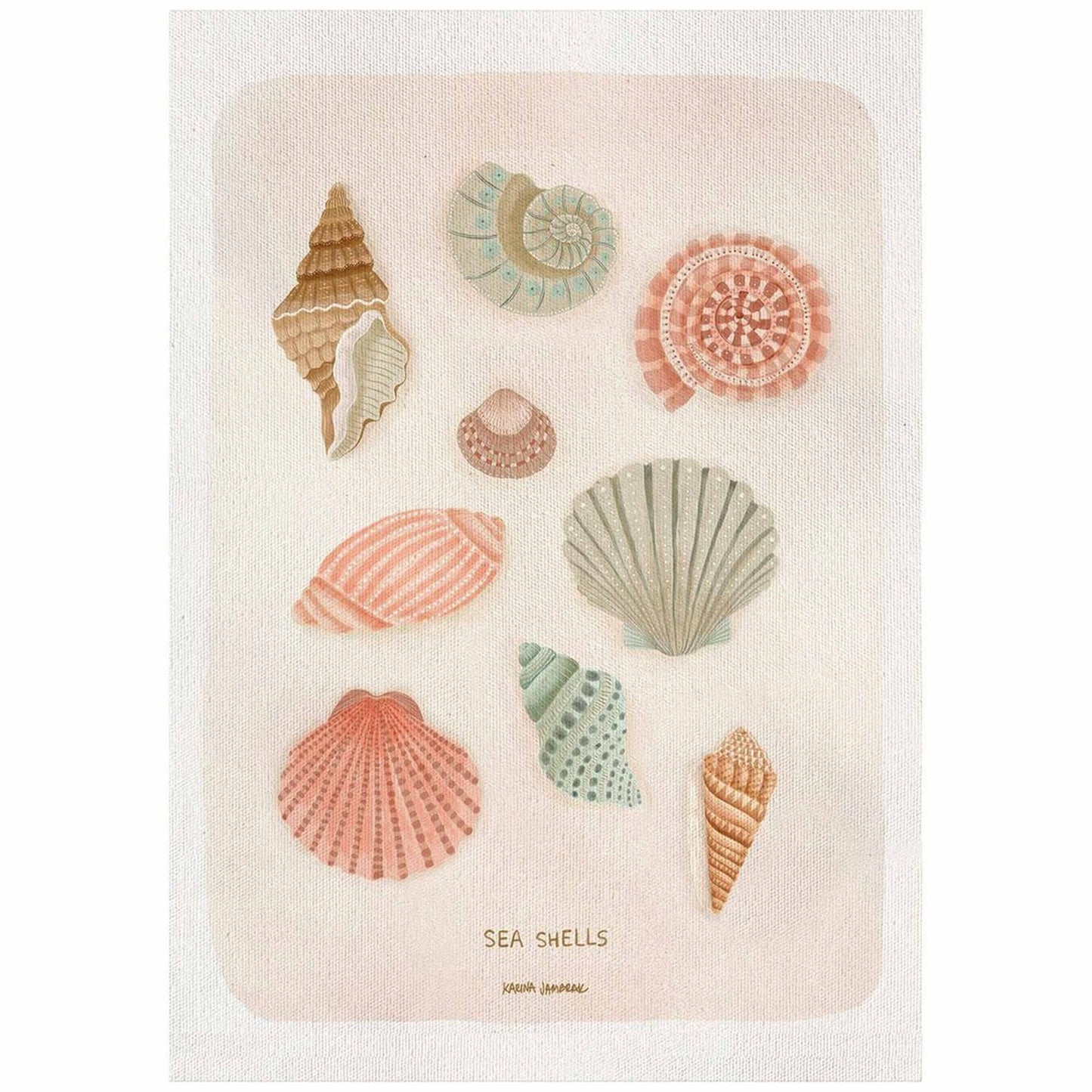 【karina jambrak art】sea shells