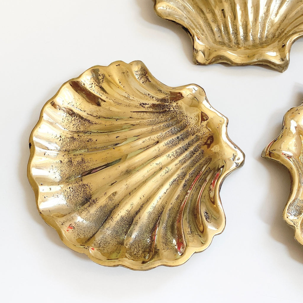 Designs For Shell Tray shell design tray - トレー